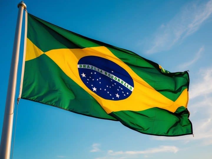 Top OnlyFans Brasil: Os Melhores Criadores e Tendências Atuais