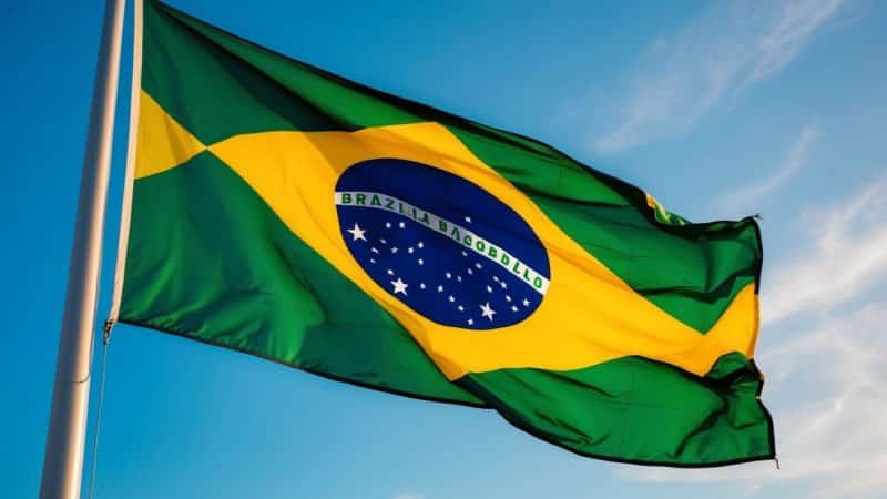 Top OnlyFans Brasil: Os Melhores Criadores e Tendências Atuais