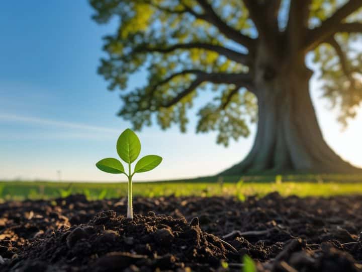 Significado Sic Parvis Magna: Origem, História e Impactos