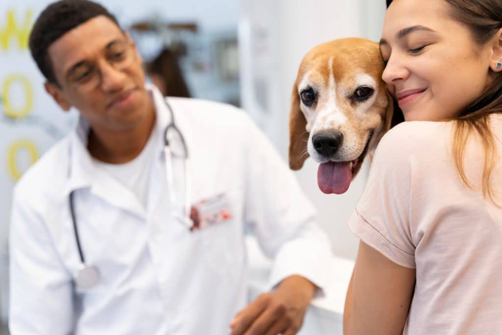 Cuidados diários que ajudam a monitorar a saúde do seu pet