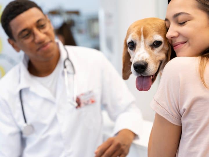 Cuidados diários que ajudam a monitorar a saúde do seu pet